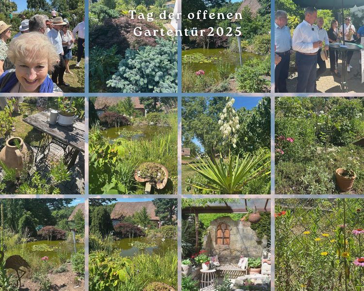 Der letzte Sonntag im Juni steht auch in diesem Jahr wieder ganz im Zeichen der Gartenliebhaberinnen und liebhaber. Ein naturbelassener Garten voller Blüten soweit das Auge reicht, mit Teich und einem hohen Maß an Artenvielfalt ist schon etwas ganz besonderes. Hier einige Impressionen.
Fotos: Petra Guttenberger