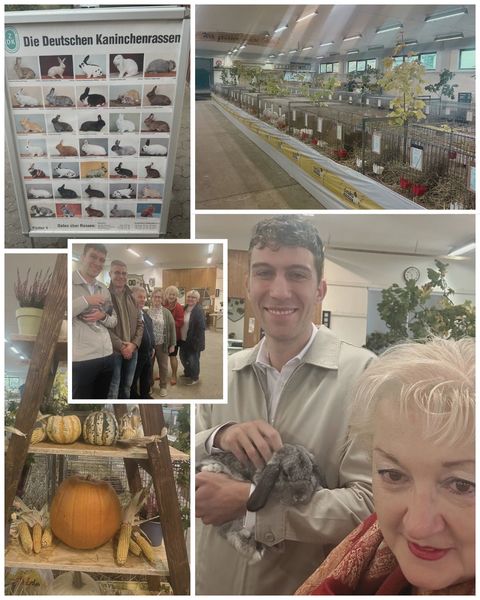 Herbstausstellung des Widderclubs Wintersdorf - Weinzierlein: Einmal mehr präsentierten die Kleintierzüchterinnen und -Züchter herausragende Zuchterfolge bei den Widderkaninchen. Die Widderkaninchen mit den Schlappohren sind echte Schmusetiere und somit war die Veranstaltung ein tolles Event für die gesamte Familie. Die alljährliche Tombola durfte natürlich auch nicht fehlen! Hier im Bild u.a. mit Bürgermeisterkandidat Tom Hesselberger für Zirndorf. Fotos: P. Guttenberger